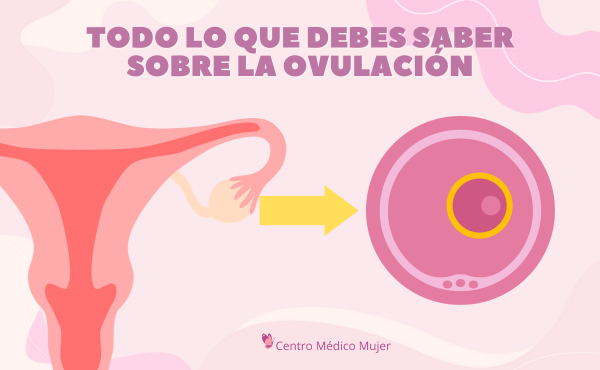 Entendiendo la ovulación: ¿cuáles son sus señales y qué significa?